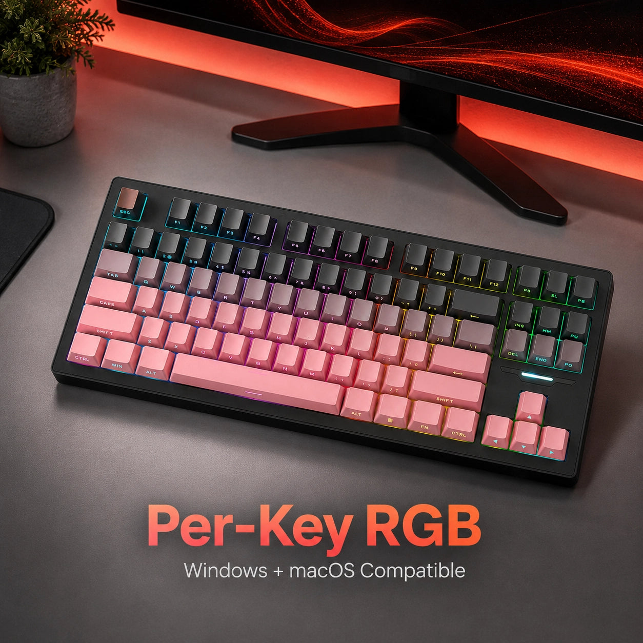 Verity Oasis Keyboard